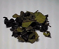 対葉豆茶　    タイヨウトウチャ.jpg